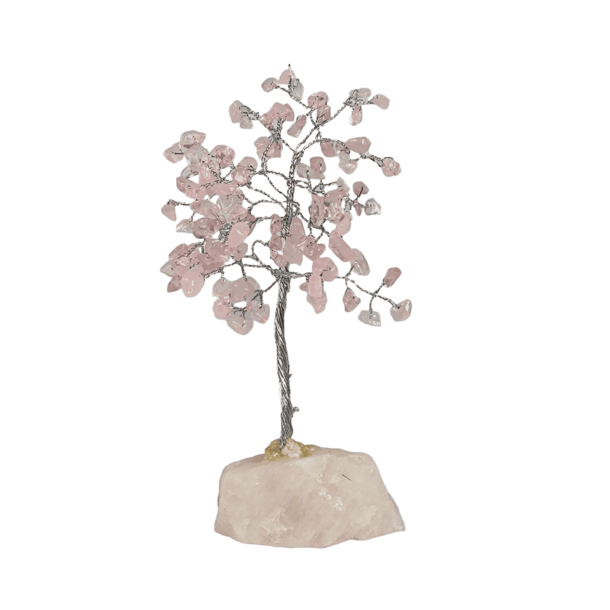 Albero di pietra 17-18 cm